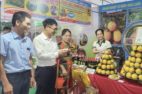 Khai mạc Lễ hội Cam và các sản phẩm nông nghiệp Hà Tĩnh lần thứ 6