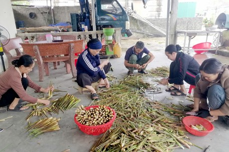 Niễng - cây trồng mới, đối tượng chuyển đổi phù hợp với vùng đất sâu trũng