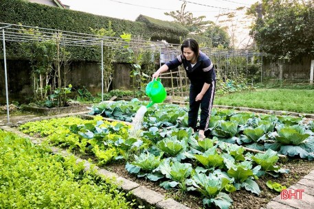 Ngắm những khu vườn xanh ngát của phụ nữ Quang Vĩnh