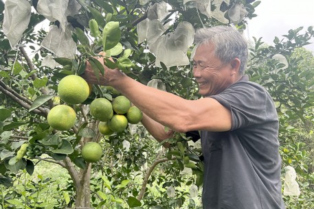 “Bài ca vỡ đất” thành công tại vùng đất đồi Khe Xai