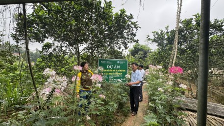 Vũ Quang đẩy mạnh phát triển kinh tế gắn với xây dựng Nông thôn mới