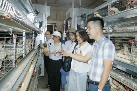 Chàng trai 9x Nguyễn Như Đức: Bỏ phố về quê làm giàu từ mô hình chăn nuôi gà siêu trứng