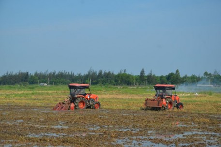 Triển khai sản xuất Hè thu sớm ngày nào hay ngày đó