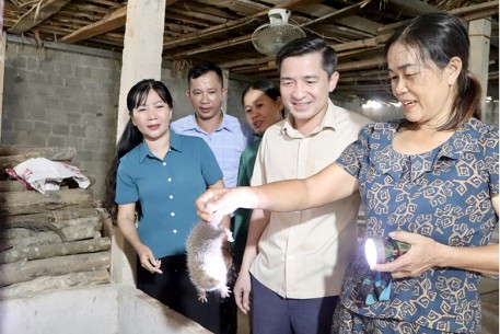 Xã Vũ Quang phát triển đa dạng các mô hình kinh tế hiệu quả