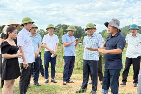 Xã Mai Hoa làm việc với doanh nghiệp và người dân về phương án trồng dưa chuột theo hướng liên kết