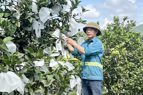 Đổi thay trên đất Khe Thờ