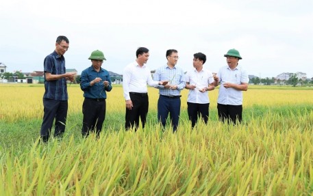 Hà Tĩnh nối dài thành quả nông thôn mới bằng kinh tế nông nghiệp