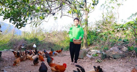 Giảm nghèo bền vững - Nâng chất nông thôn mới