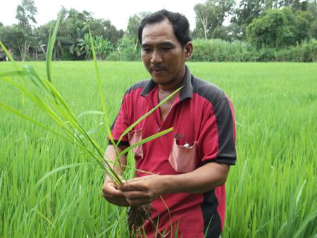 Nông dân Huỳnh Văn Sơn trên thửa ruộng của gia đình mình