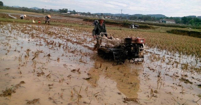 Nông dân đưa cơ giới hóa vào sản xuất nhằm đẩy nhanh tiến độ sản xuất Hè Thu