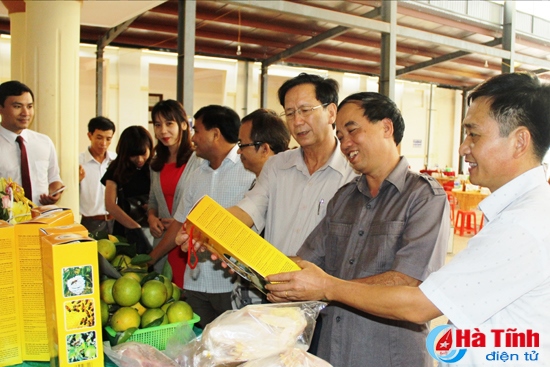 Vũ Quang kêu gọi doanh nghiệp đầu tư trên địa bàn