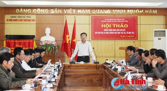 Bàn phương án phát triển chuỗi chăn nuôi lợn liên kết