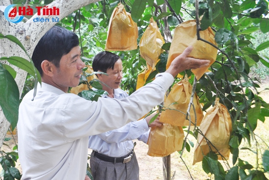 Khoa học công nghệ - Nền tảng cho phát triển bền vững