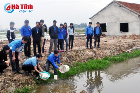 Bàn giao đường điện thắp sáng làng quê và ra mắt mô hình thanh niên