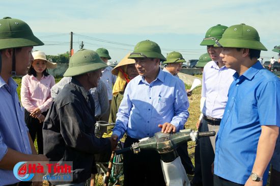 tap trung thu hoach lua xuan gieo cay lua he thu dung thoi vu