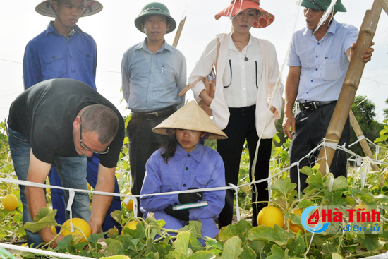 israel se ho tro giong cay hieu qua cao cho mitraco ha tinh