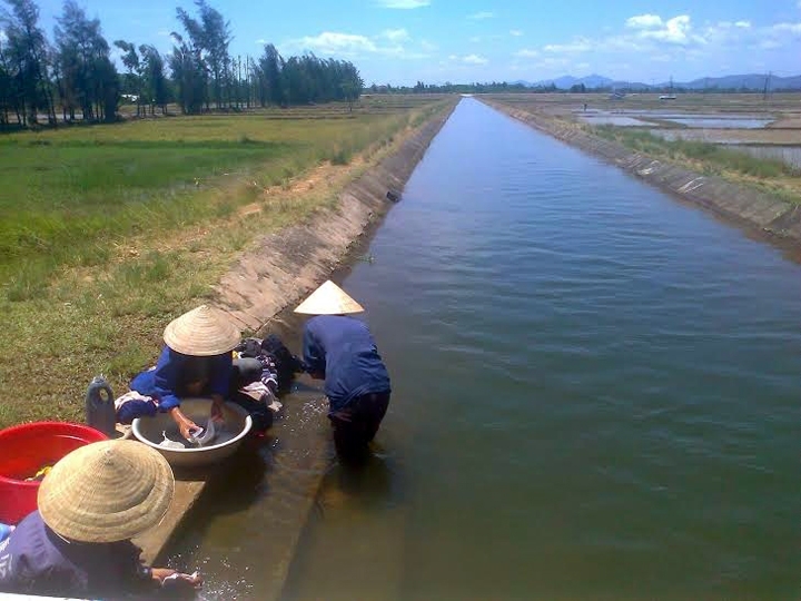 Nước hồ Kẻ Gỗ phục vụ trồng lúa hè thu.