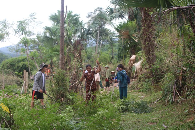 Người dân ra quân phát sẽ cây cối, giải phóng hành lang giao thông.