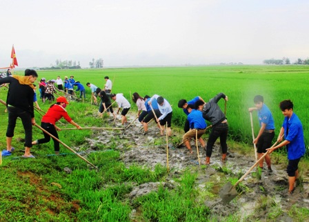 Sở Lao động, Thương binh và Xã hội huy động gần 100 cán bộ, công chức, đoàn viên thanh niên ra quân đào đắp mở rộng đường  trục xã.