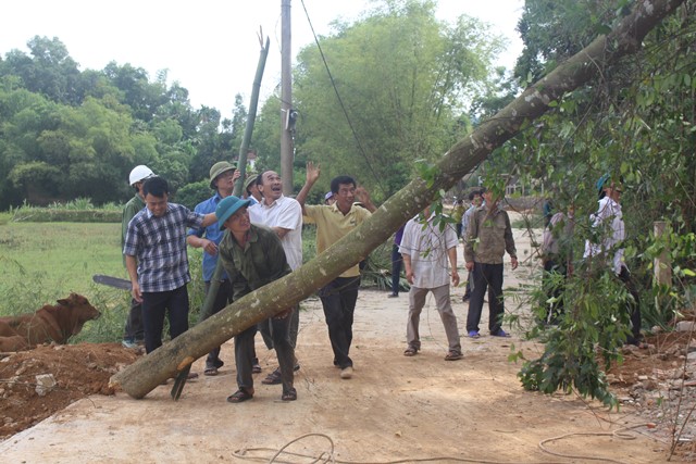 Đức Bồng phát sẽ hành lang giao thông