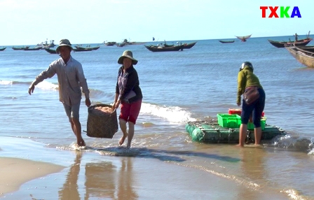 Những khay ruốc còn tươi ngon được các ngư dân nhanh chóng đưa vào bờ để nhập cho thương lái