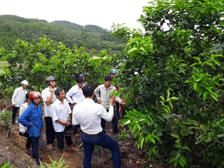 Đi thăm quan thực tế và thực hành tại vườn hộ