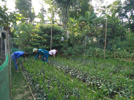 Trần Quốc Thắng_Chàng thanh niên làm kinh tế giỏi