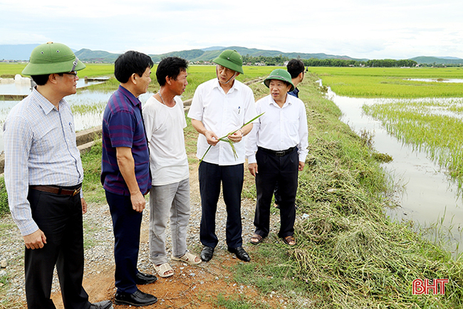 Đánh giá tổng thể tác động của công trình đối với việc tiêu thoát nước ở huyện Kỳ Anh