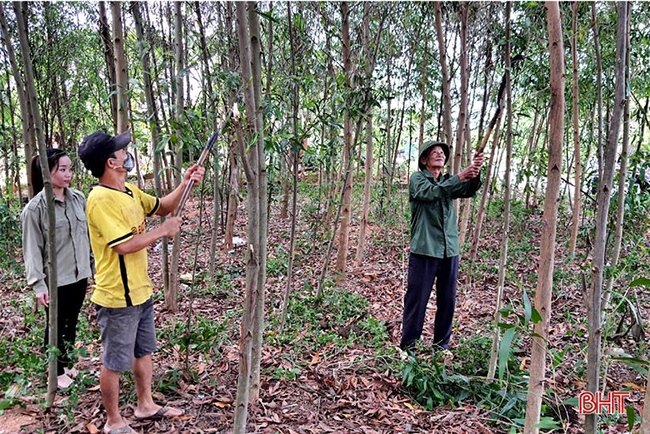 Khai thác tiềm năng 3 vùng sinh thái, nâng cao giá trị cho nông sản Kỳ Anh