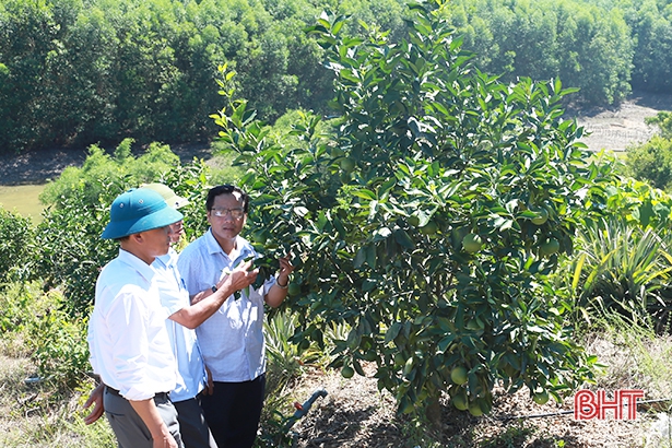 Sản xuất hữu cơ ở Hà Tĩnh: Lấy chất lượng để “chiều lòng” thị trường!