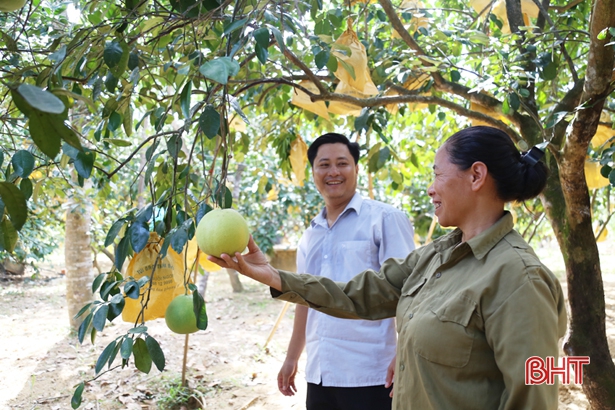 Chuyển dịch cơ cấu kinh tế nông nghiệp theo hướng bền vững ở Hà Tĩnh