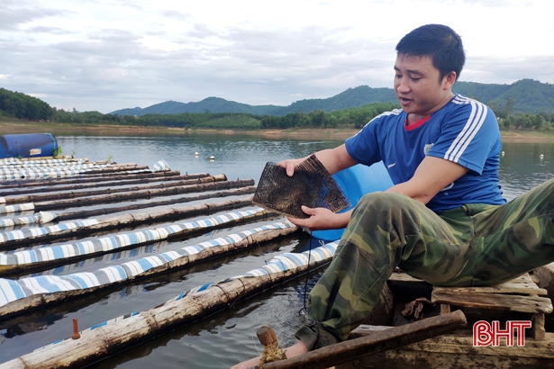 Hỗ trợ thanh niên Hà Tĩnh phát triển kinh tế trong mùa dịch