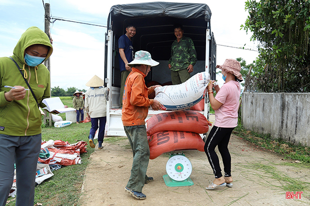 Mênh mông một biển lúa vàng…