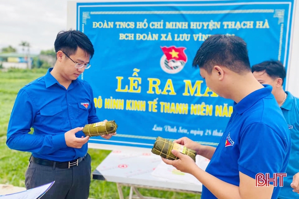 Hỗ trợ thanh niên Hà Tĩnh phát triển kinh tế trong mùa dịch