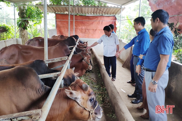 Hỗ trợ thanh niên Hà Tĩnh phát triển kinh tế trong mùa dịch