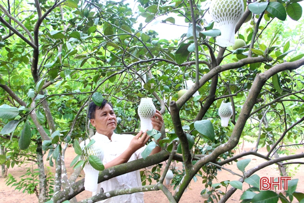 Những “kỹ sư chân đất” làm vườn mẫu ở huyện miền núi Hà Tĩnh