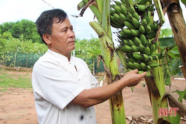 Những “kỹ sư chân đất” làm vườn mẫu ở huyện miền núi Hà Tĩnh