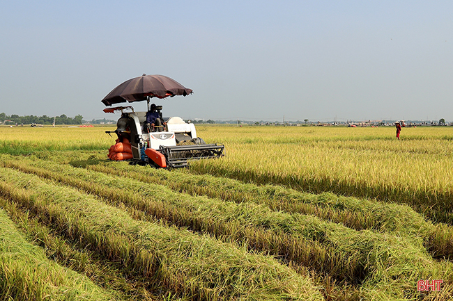 Vụ hè thu 2020 - “khúc hoan ca” trên đồng ruộng Hà Tĩnh