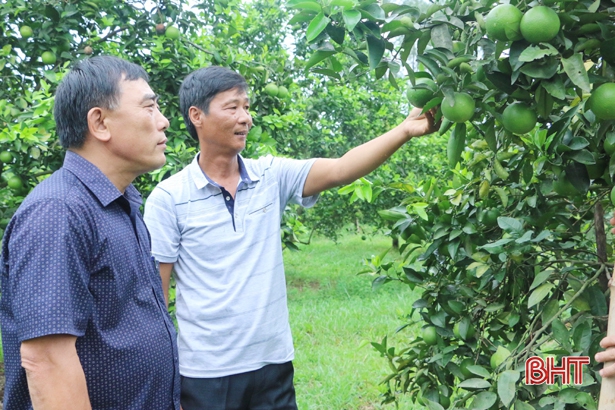 Vũ Quang phát động 60 ngày thi đua cao điểm lập thành tích chào mừng Đại hội Đảng bộ Hà Tĩnh