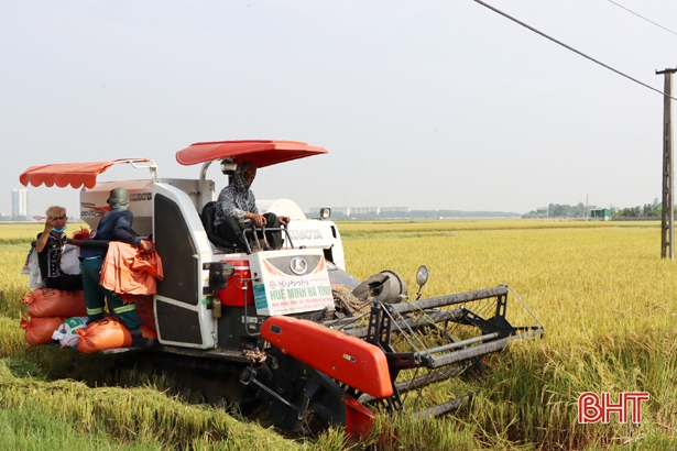 Nhiều sản phẩm chủ lực của Cẩm Xuyên “lên đời” nhờ OCOP