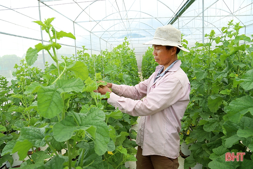 Khí thế mới từ các phong trào thi đua của ngành nông nghiệp Hà Tĩnh