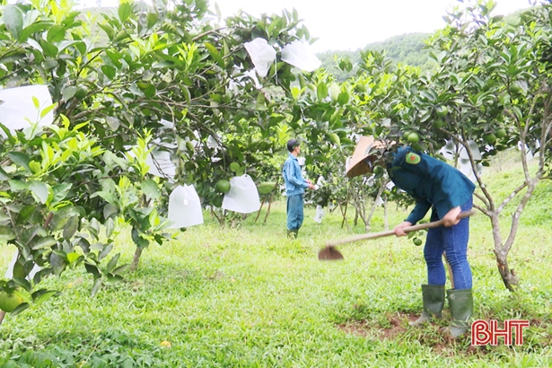 Người nghèo Đức Thọ tri ân vốn tín dụng chính sách