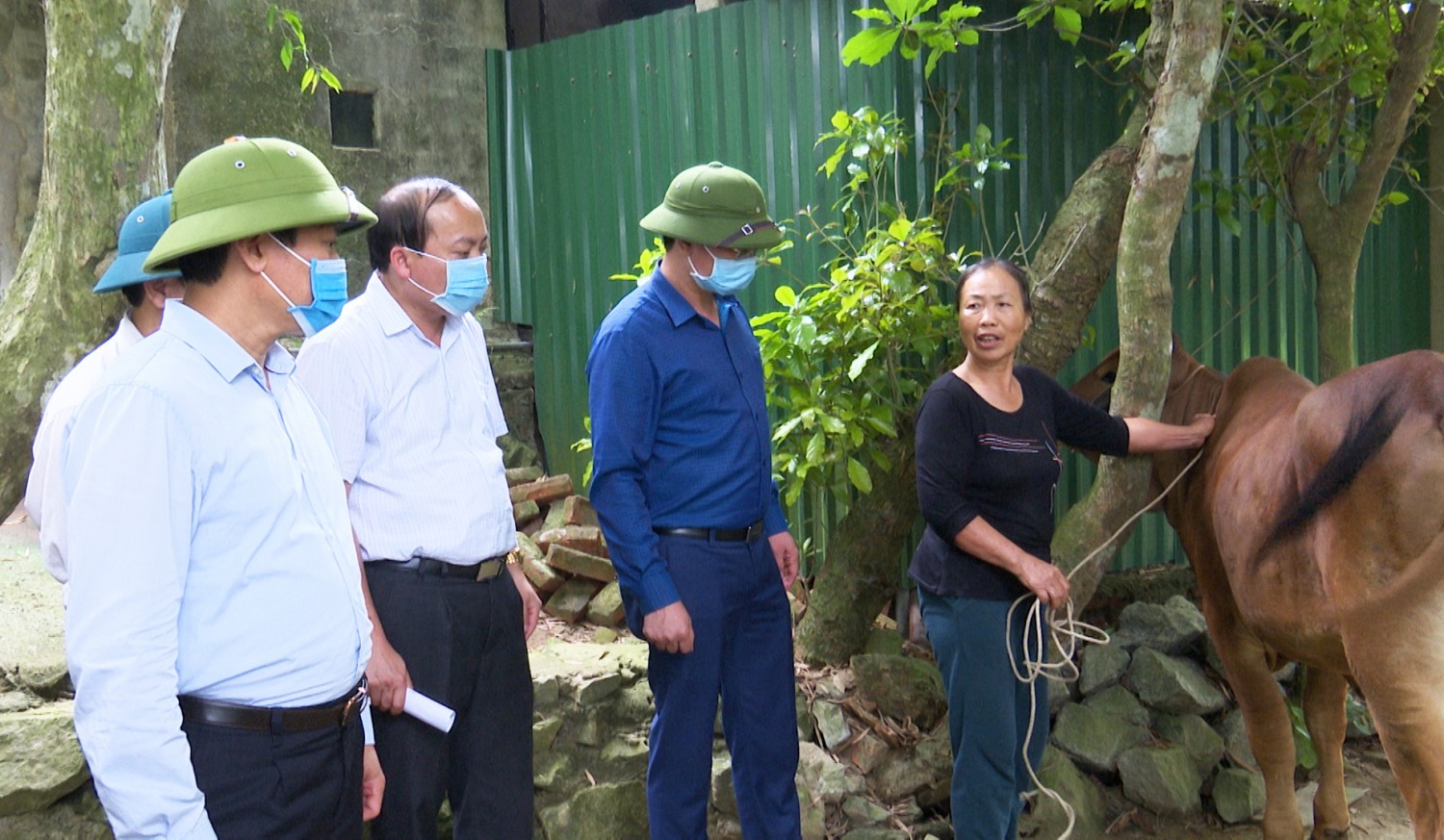 Anh anh tuan kiem tra tung chau 5 jpg