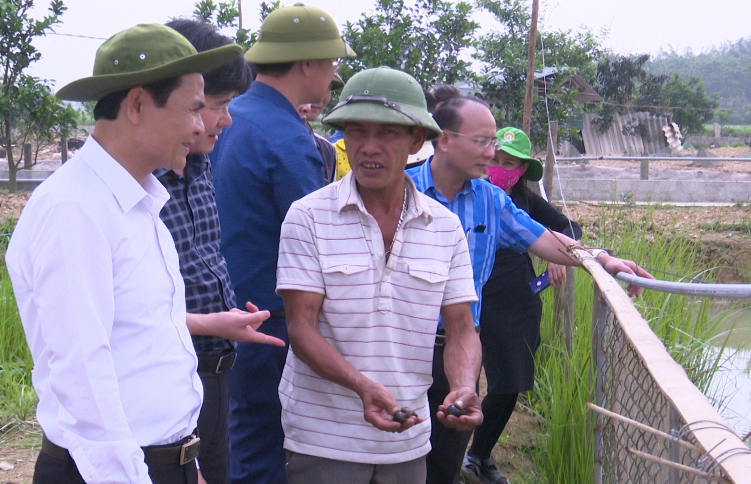 Anh bao cao ket qua nuoi ốc