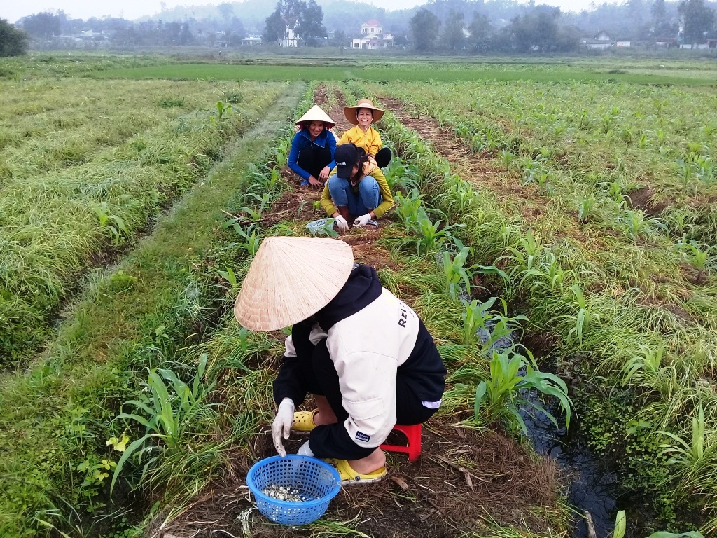 hanh nghe an