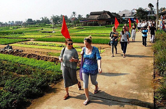 Phát triển du lịch nông thôn gắn với xây dựng nông thôn mới - Ảnh 1.