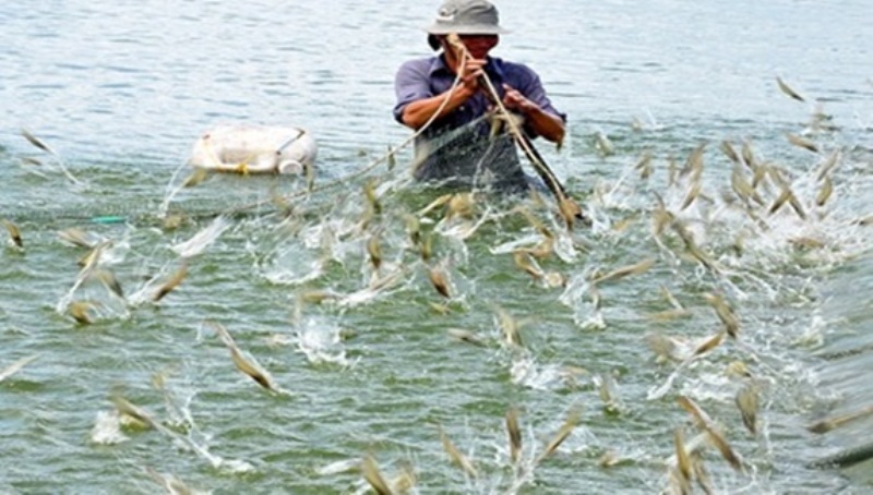 Tăng cường quản lý sản xuất thủy sản trong thời điểm giao mùa, thời tiết diễn biến phức tạp.