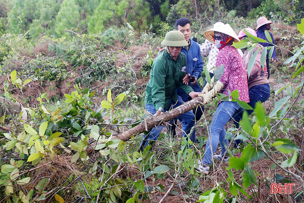 Hà Tĩnh sẵn sàng các phương án phòng ngừa nguy cơ cháy rừng