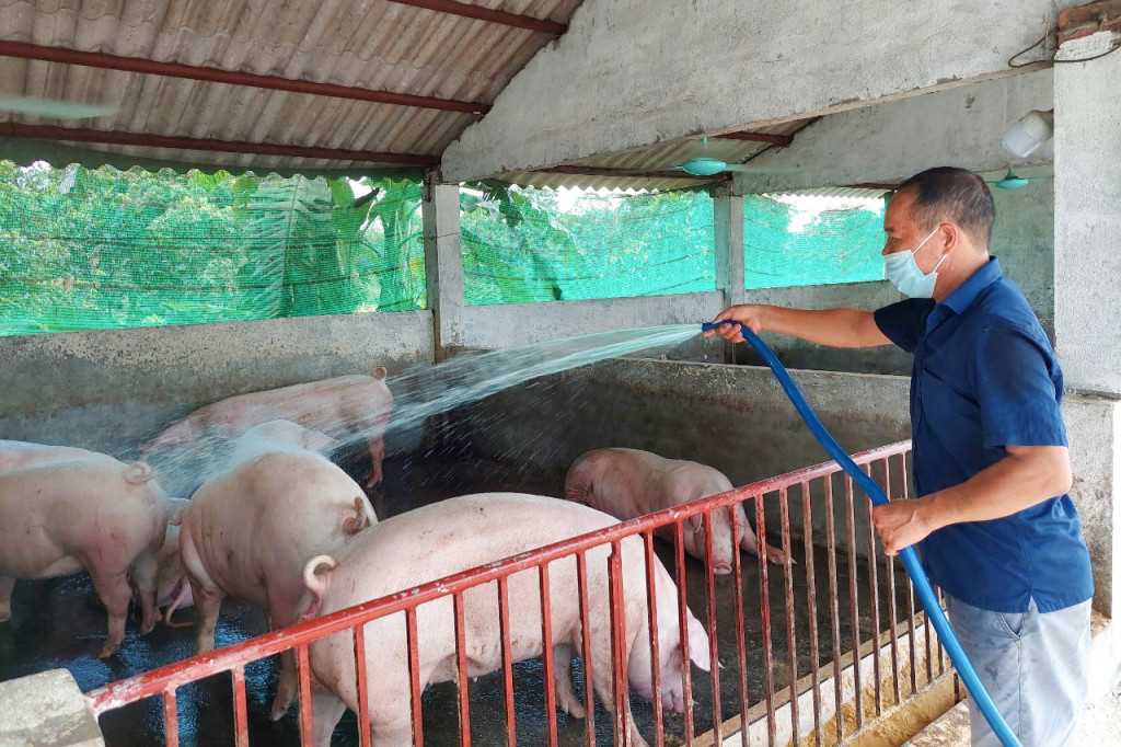 Cựu chiến binh vượt khó, phát triển kinh tế tại Hải Hà 2