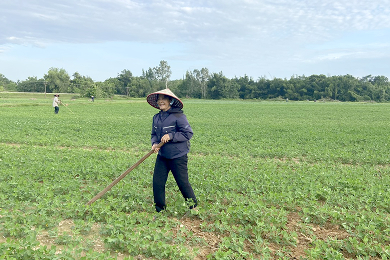 hinh 1nong dan thon chau thinh tap trung cham soc lac